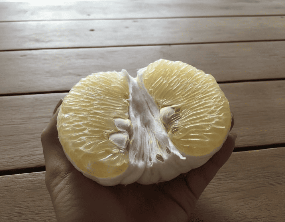 Với hương thơm tươi mát và vị ngọt nhẹ, bưởi Soi Hà là món quà thiên nhiên mang đến cho người thưởng thức cảm giác tươi mới